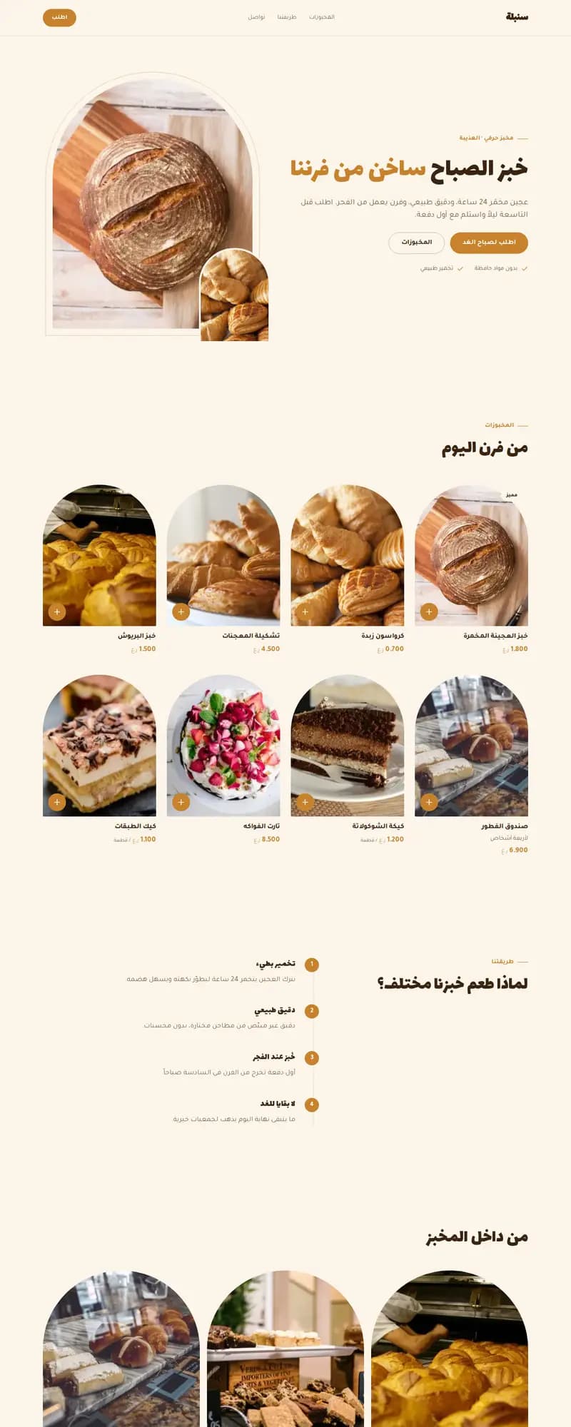 معاينة نموذج سنبلة